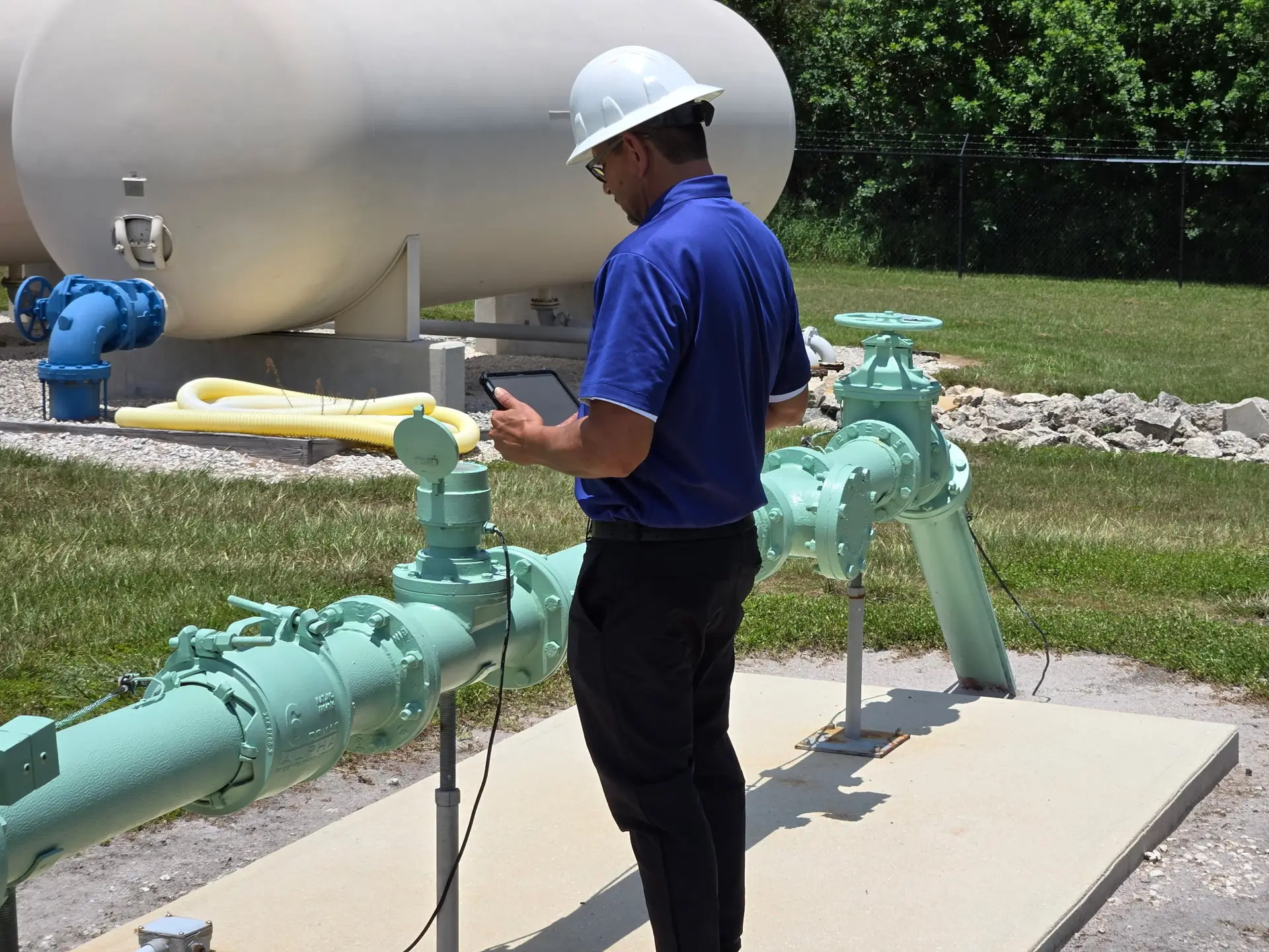 Jaimie F Pilot Study